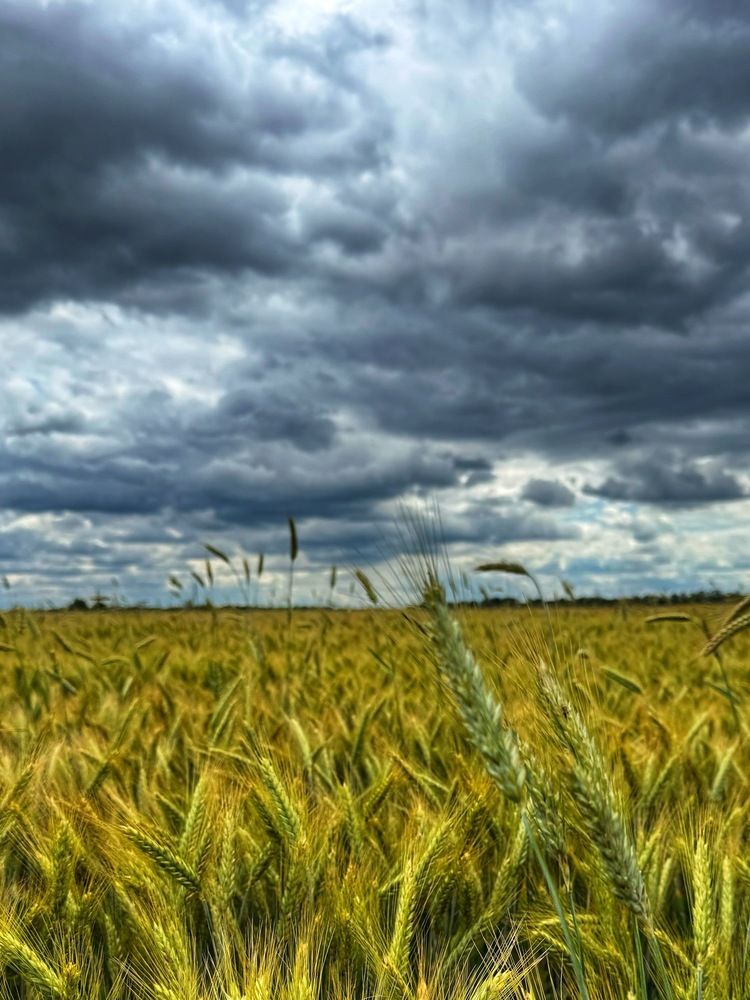 Фотография автора Светлана Герасимук