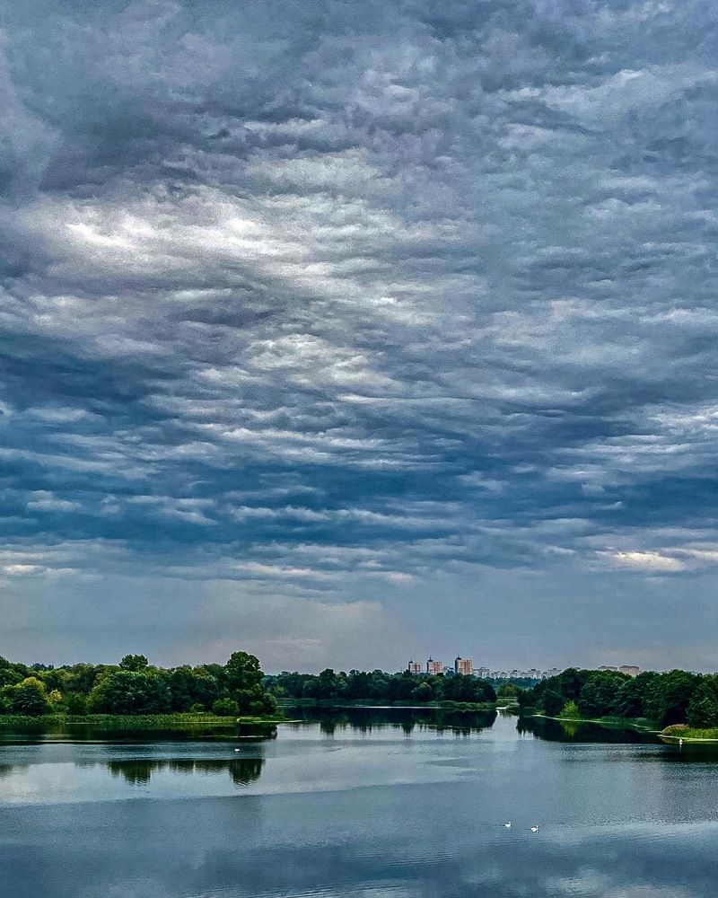 Фотография автора Светлана Герасимук