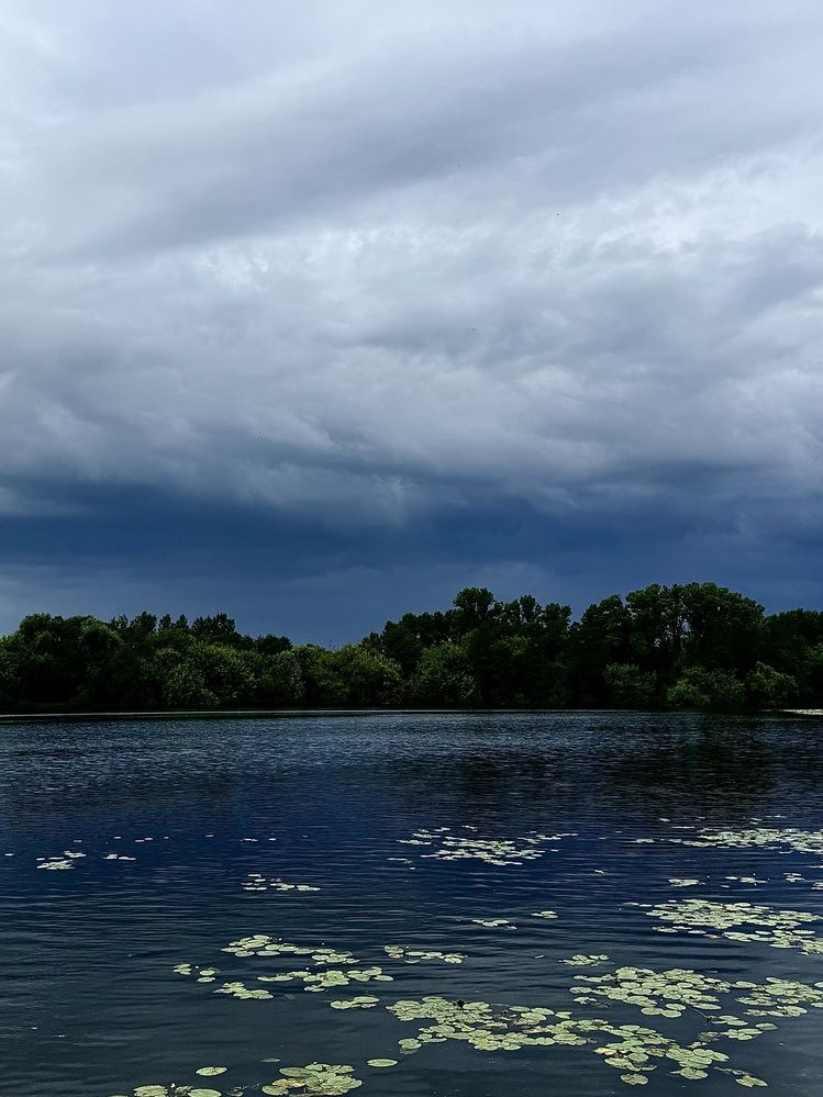 Photograph by Светлана Герасимук