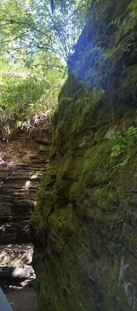 Фотография автора Ольга Петрова