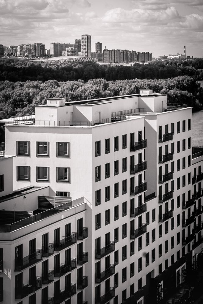 Photo #12537392