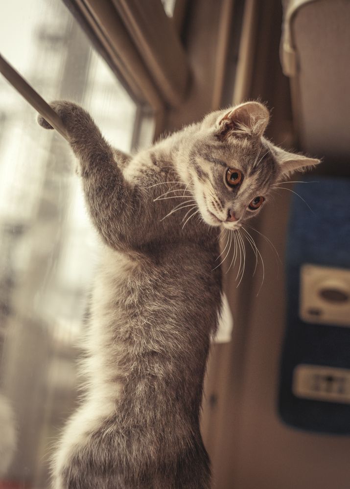 Photograph by Helena Proshkina