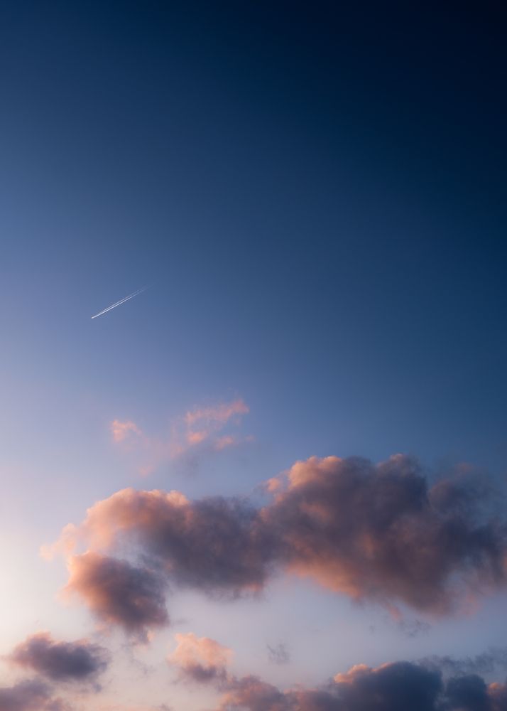 Фотография автора Gustavo Orellana