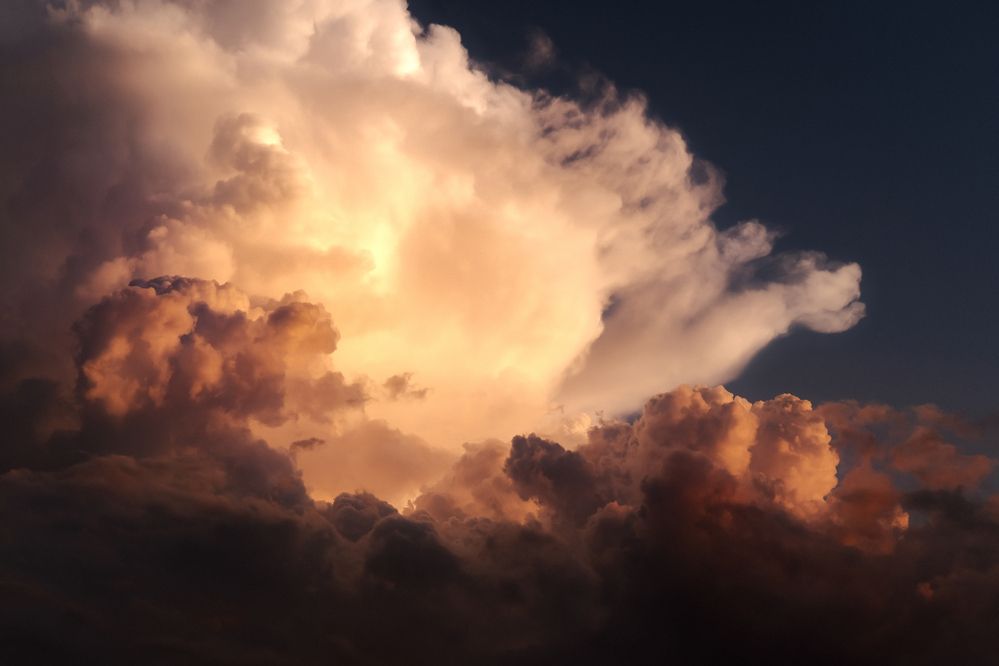 Фотография автора Gustavo Orellana