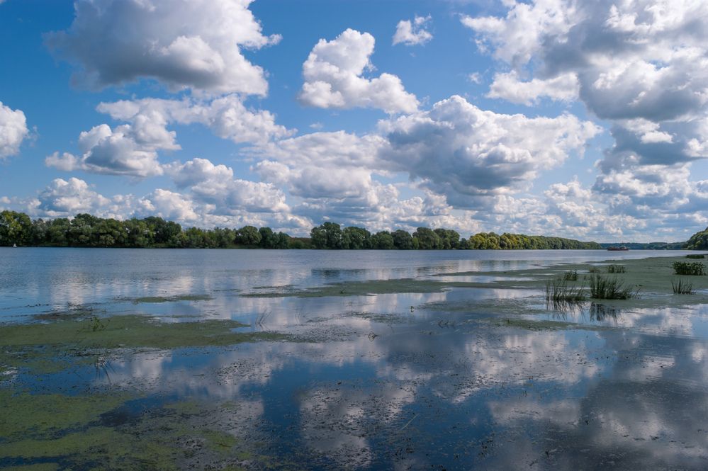 Плывут облака