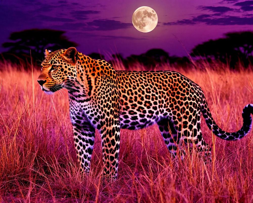 Фотография автора Валерий Цуркан