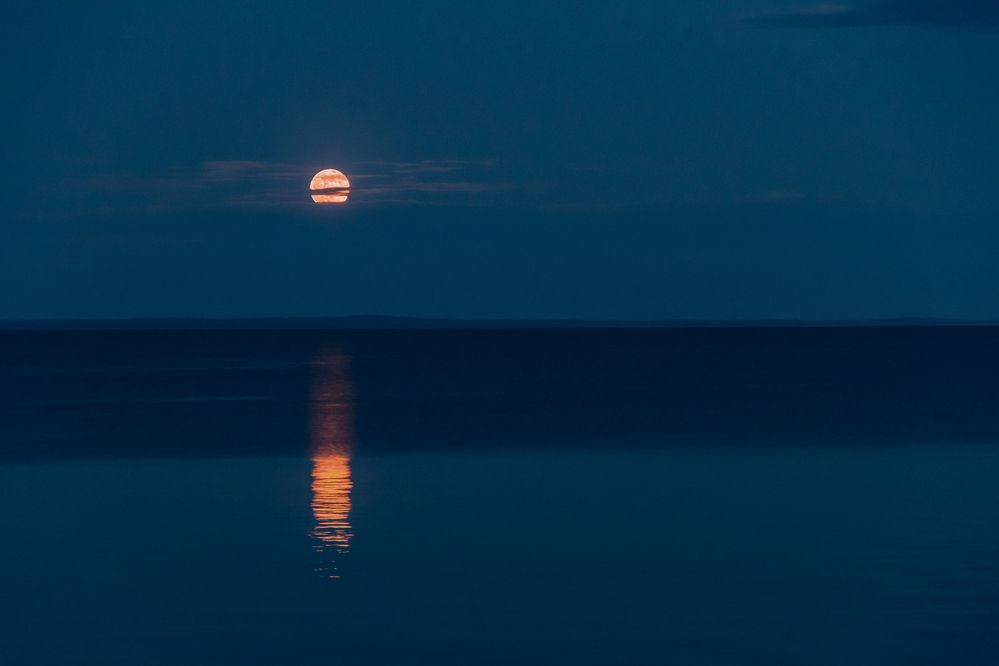 Photograph by Pavel Gukov