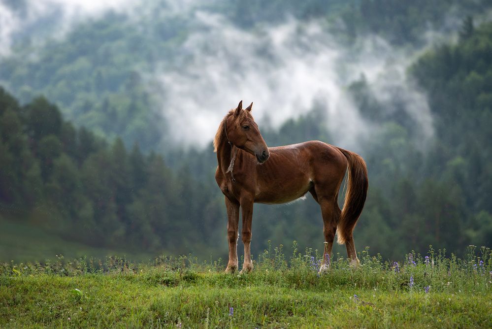 Photograph by Дмитрий Хуршудов