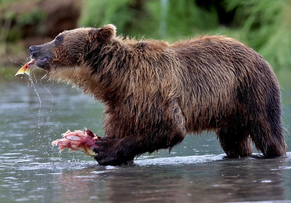 Удачная рыбалка