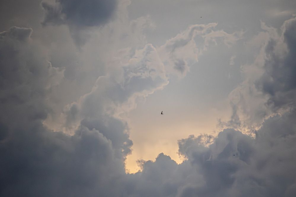 Photograph by Юлия Куликова