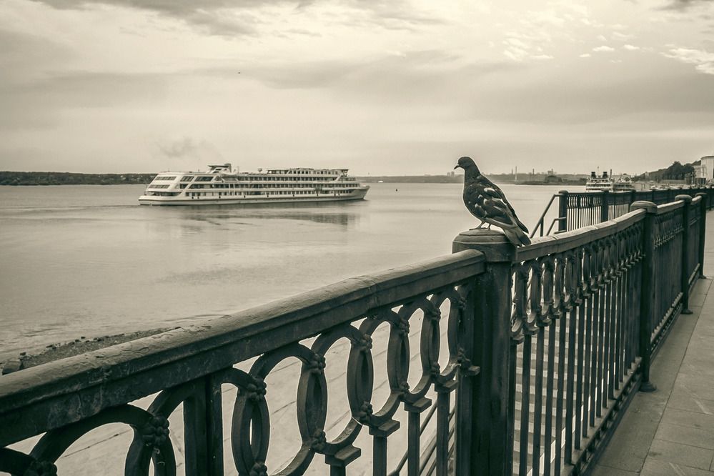 Photograph by Наталья Сафронова