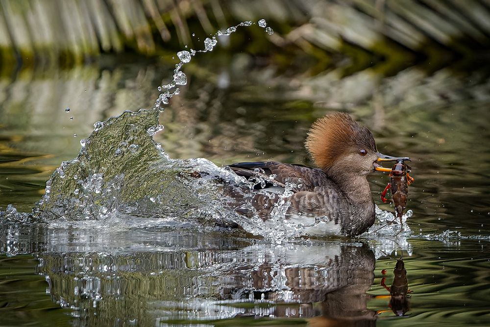 Photograph by John LeeWong