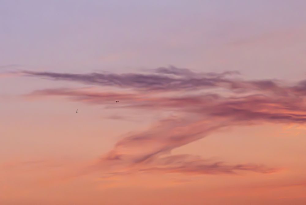 Photograph by Юлия Куликова