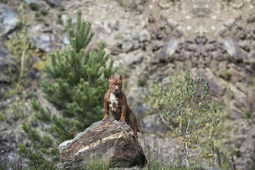 Photograph by Ольга Софронова