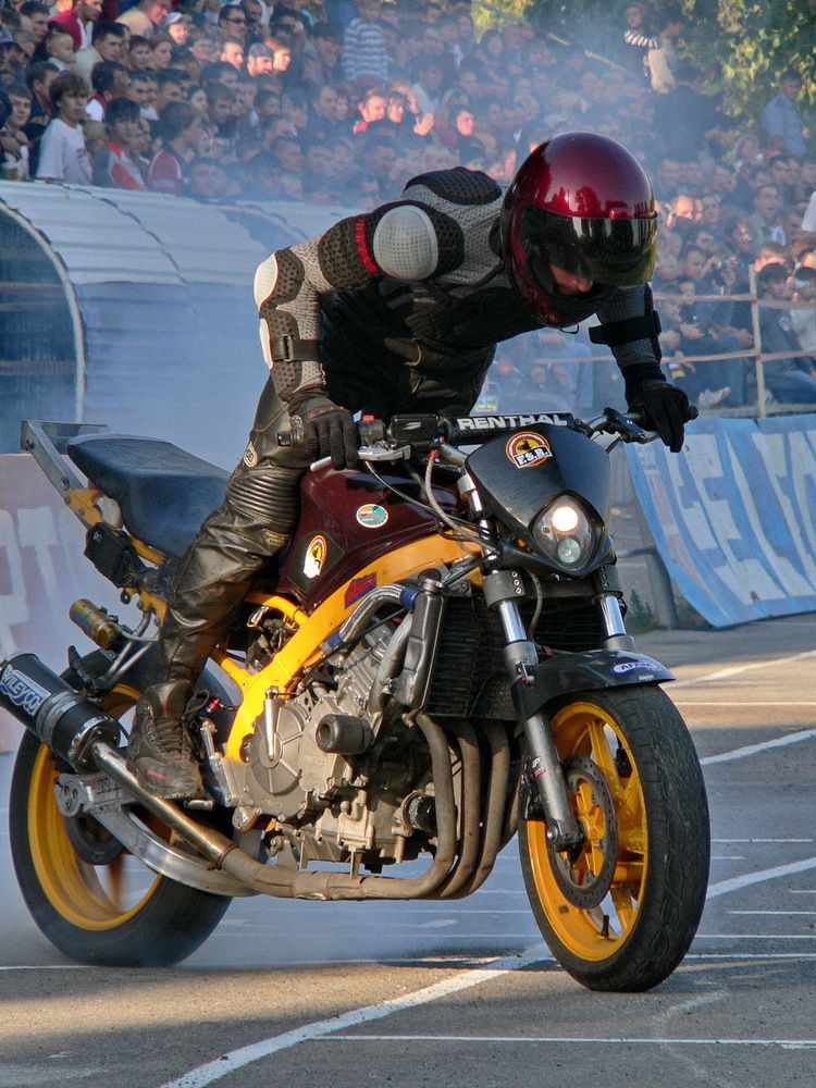 Фотография автора Александр Челмодеев