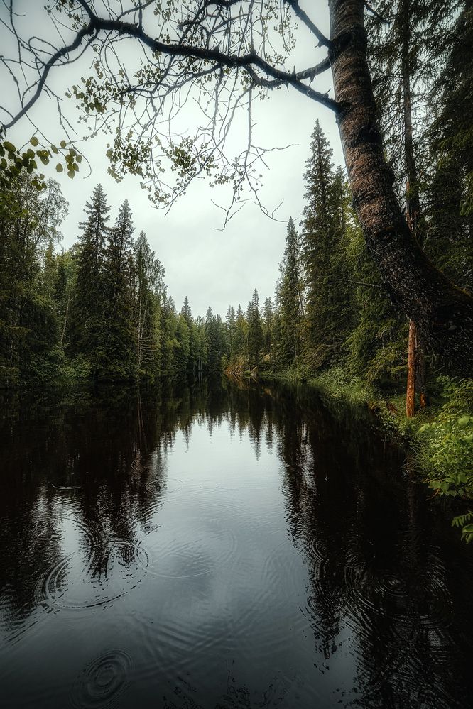 Photograph by Leanid Kulpo