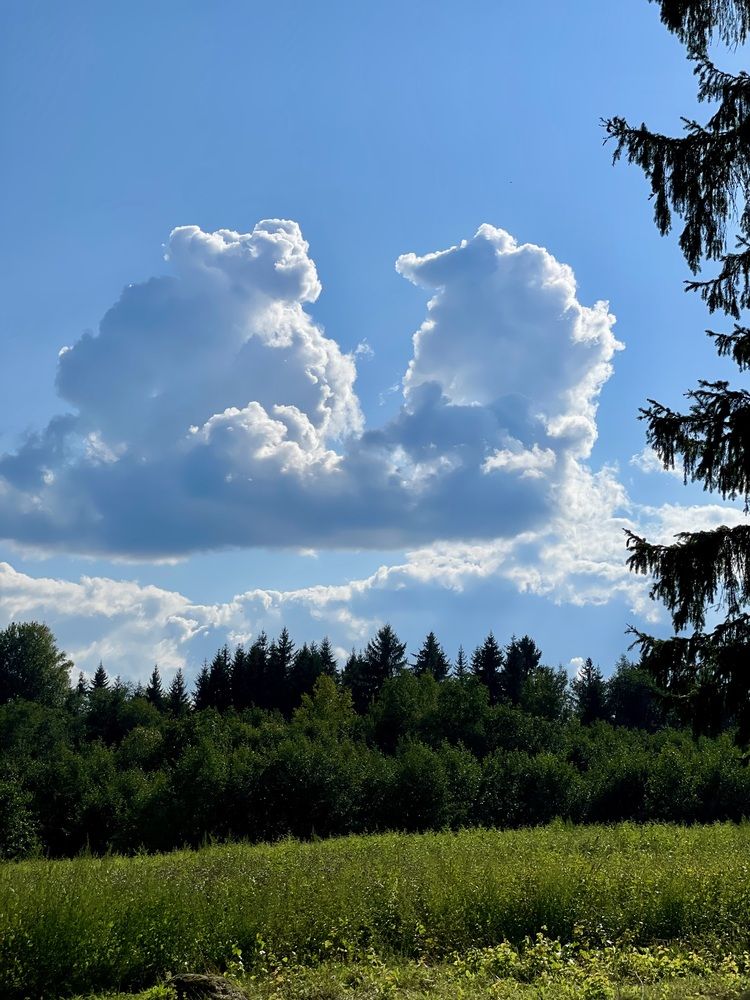 Photograph by Ольга Ильина