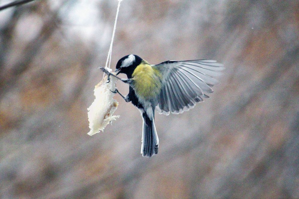 Photograph by Vitaliy Saposhnikov