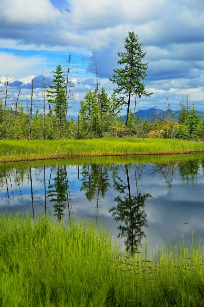 Photograph by Олег Раков