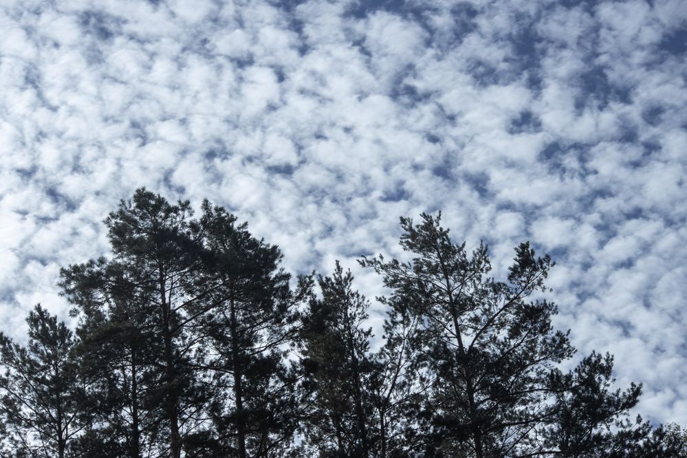 Фотография автора Денис Лещёв