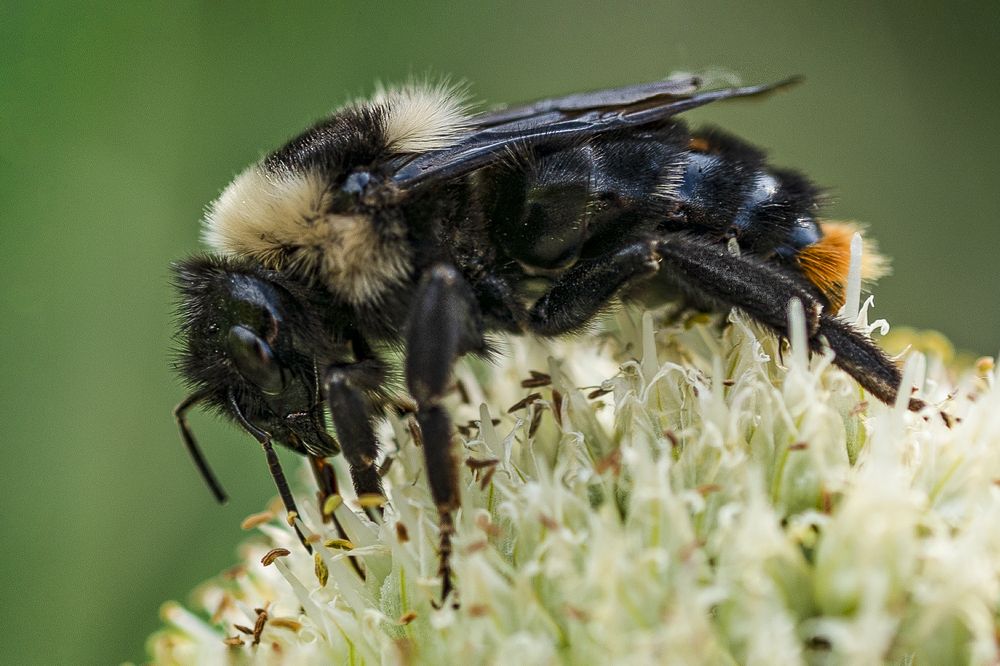 Photograph by Елена Куртеева