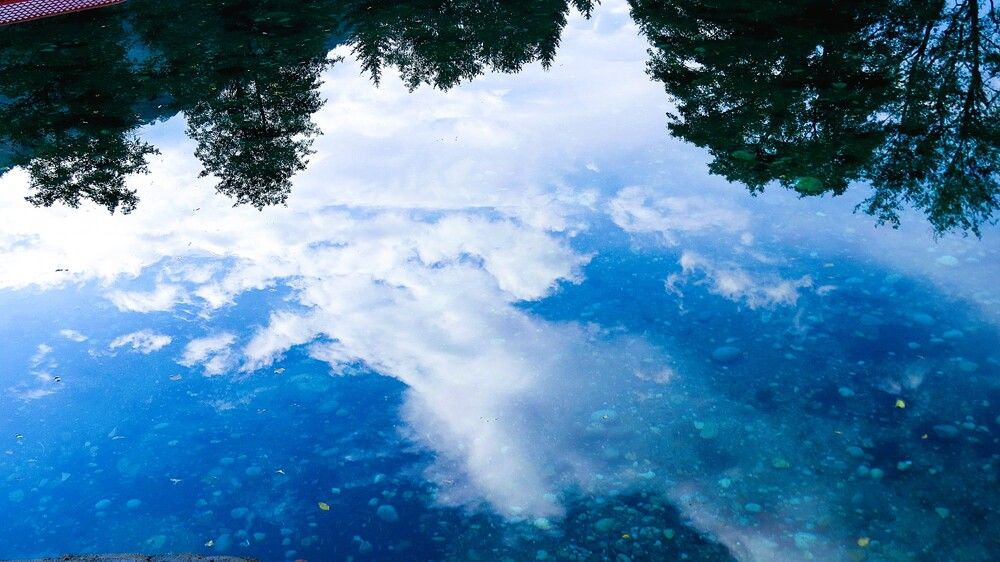 С ног на голову