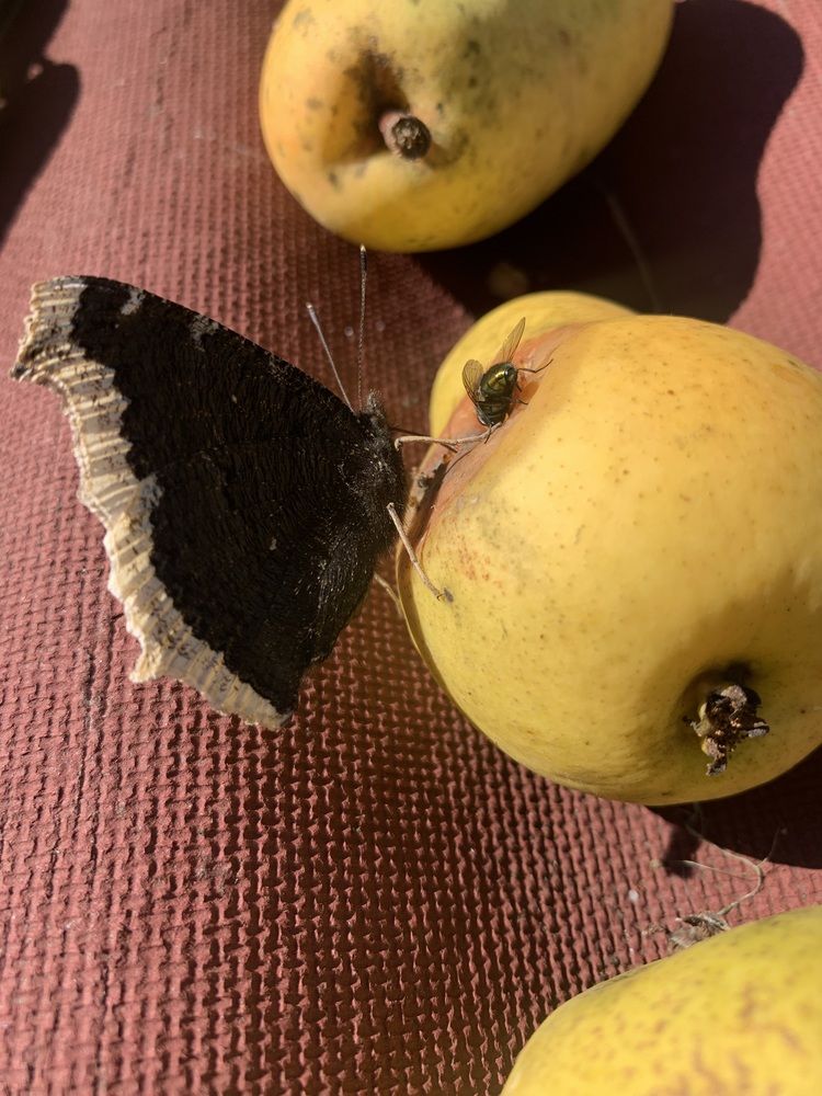 Photograph by Елена