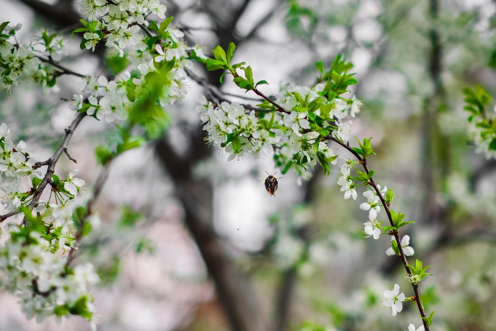 Photograph by Маргарита Спасенкова