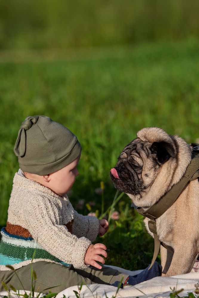 Photograph by наталья залогина