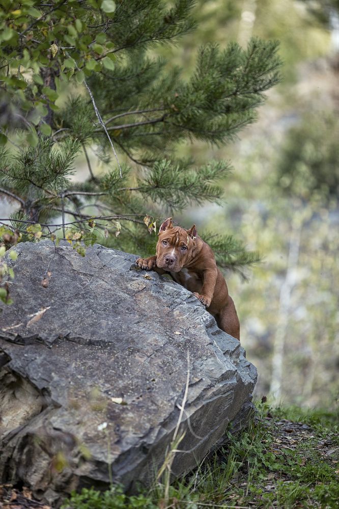 Photograph by Ольга Софронова
