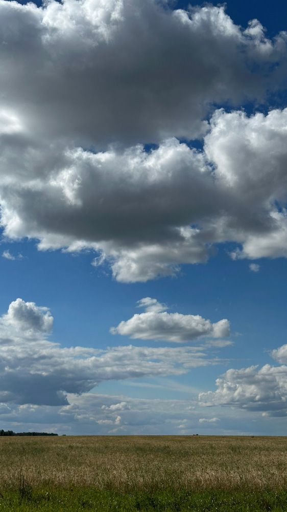 Где-то в курганской области