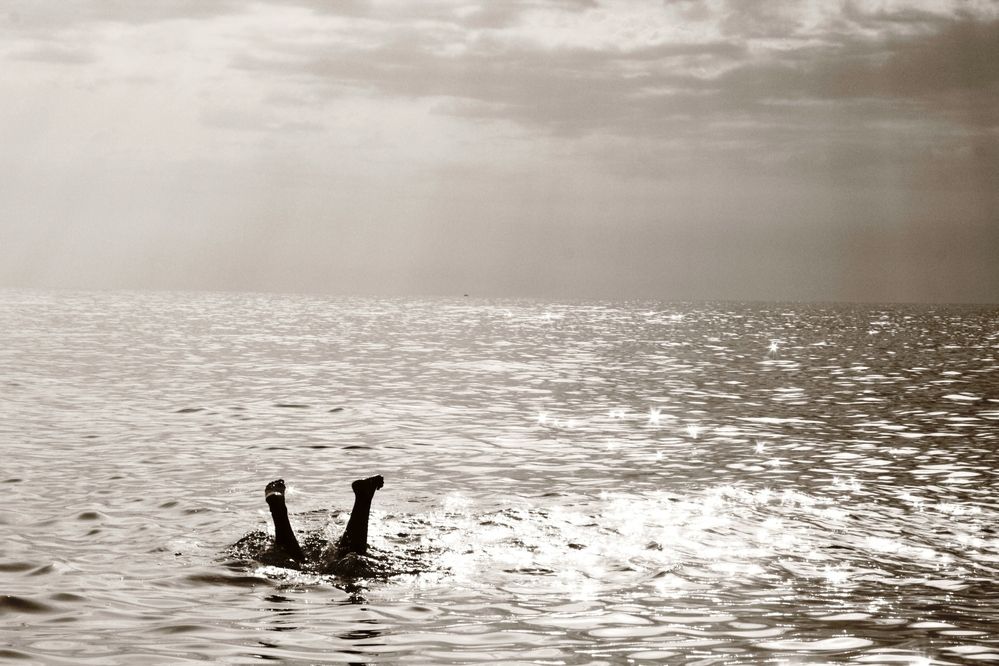 Photograph by Nikita Zorin