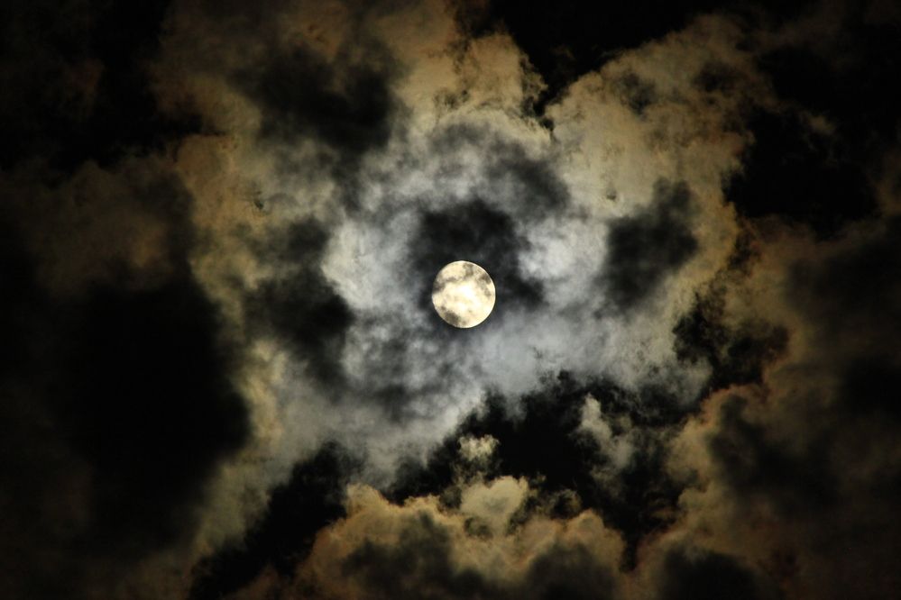 Photograph by Nikita Zorin