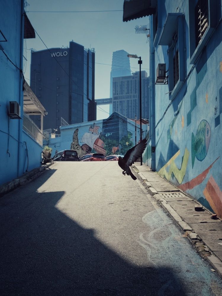 Photograph by Siew Chee chung