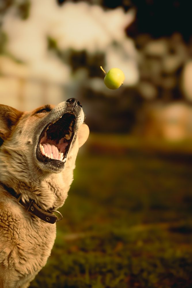 Photograph by Маргарита Спасенкова