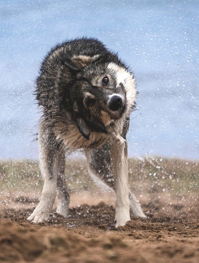 Photograph by Мария Клещенко