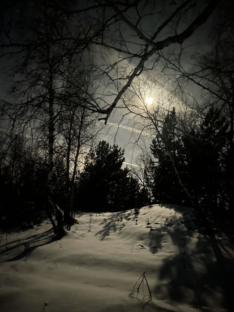 Photograph by Nadezda Yablokova