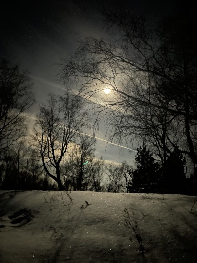 Photograph by Nadezda Yablokova