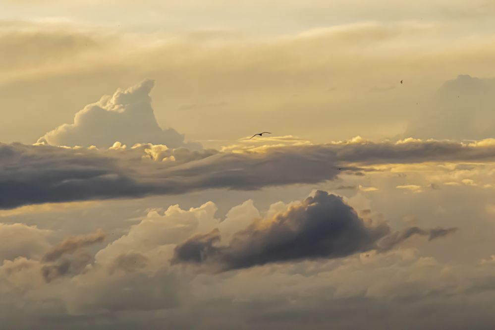 Photograph by Юлия Куликова