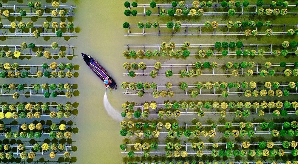 Фотография автора Nghi Le Huu