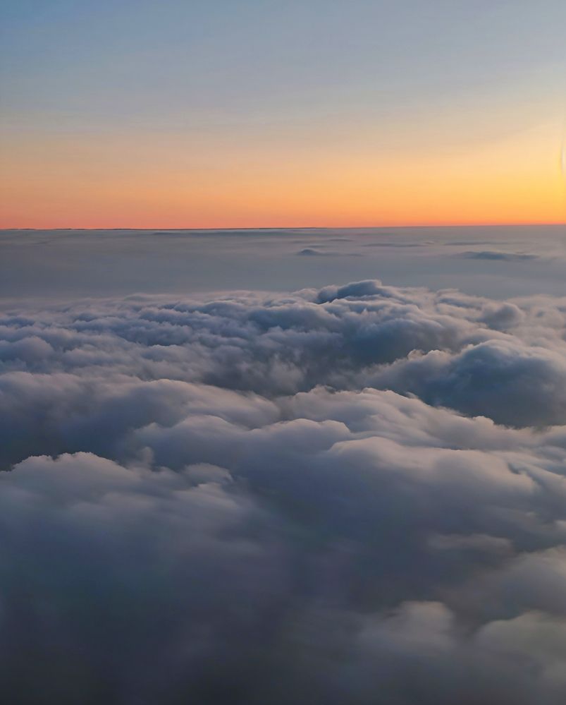 Photograph by Юлия Холомцева