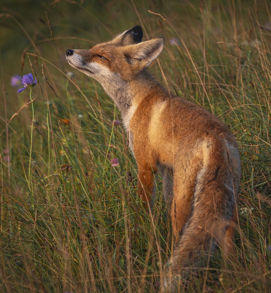 Жизнь хороша!