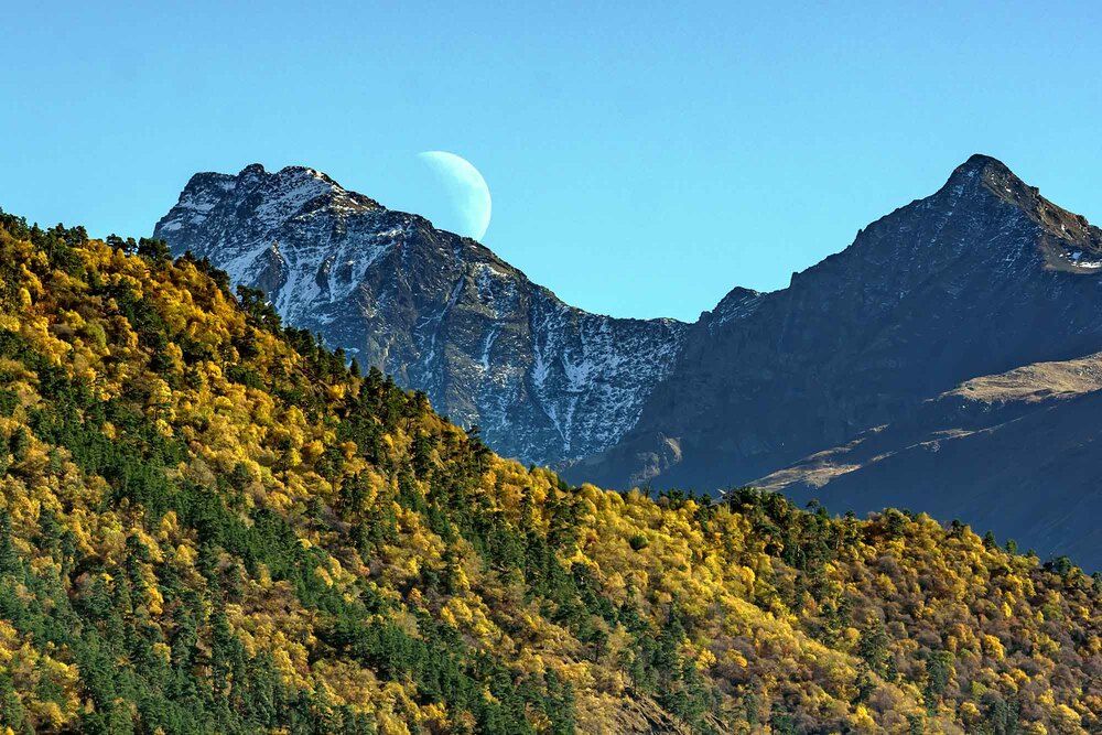 Photograph by Евгений Киселев