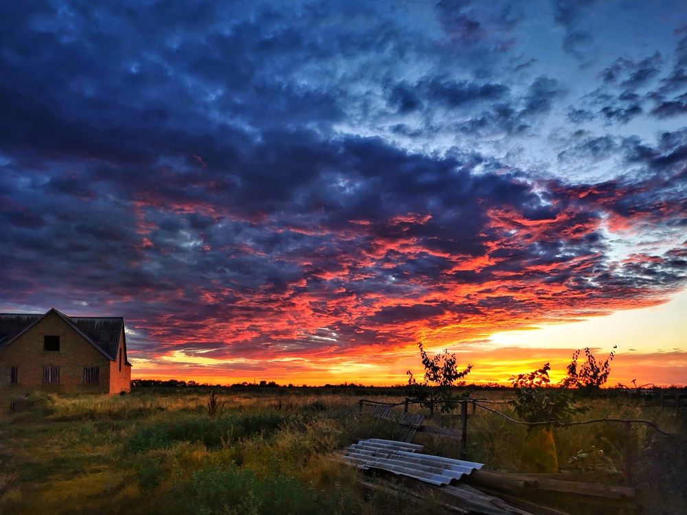 Photograph by Елена Артёменко