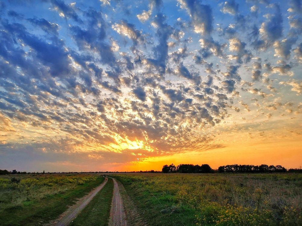 Photograph by Елена Артёменко