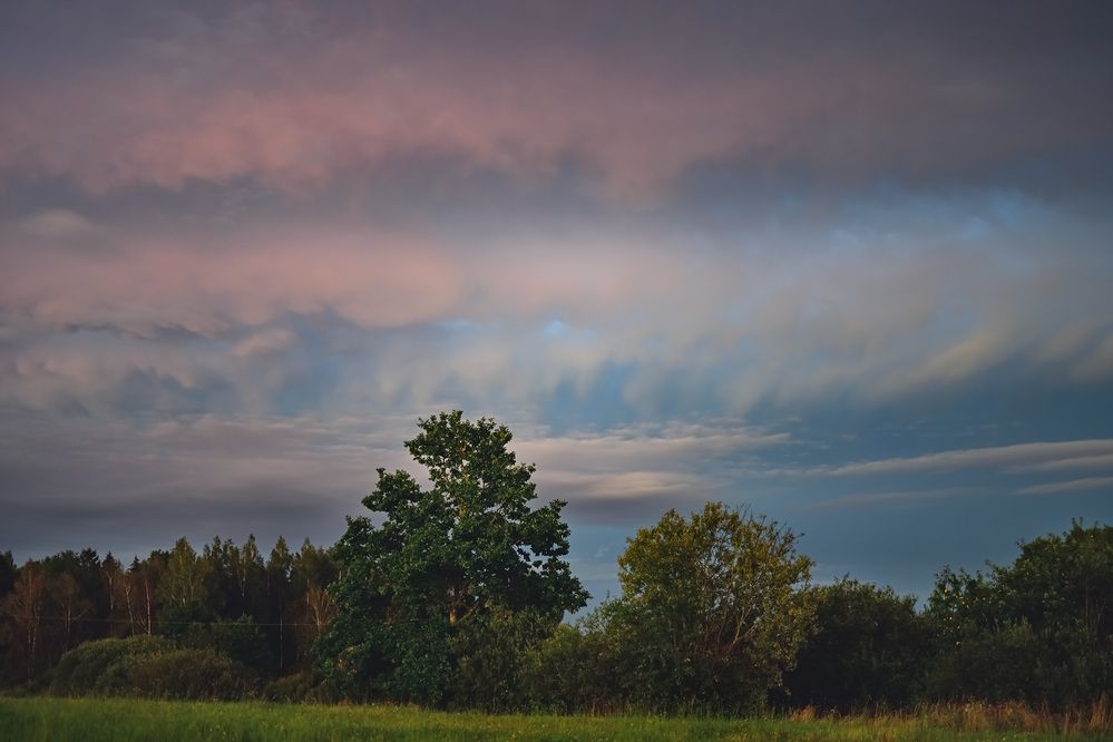 Photograph by Irina Nadolska
