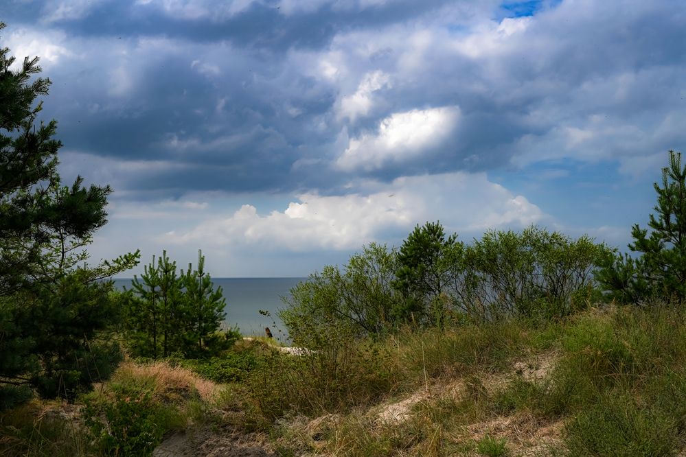 Photograph by Irina Nadolska