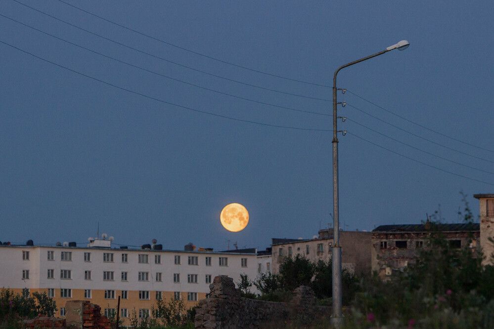 Photograph by Алина Быстрова