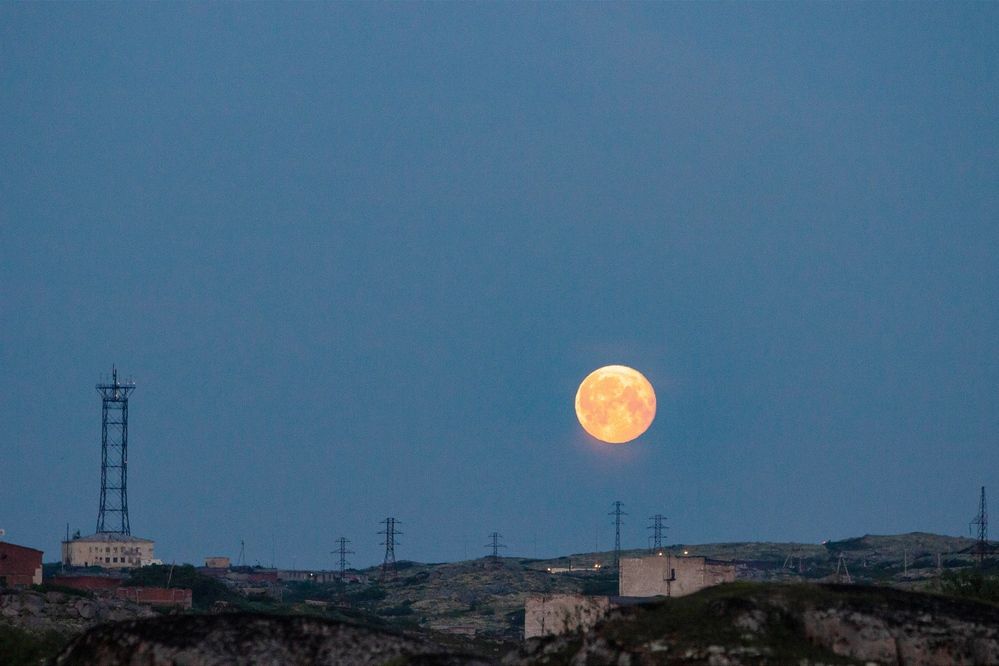 Photograph by Алина Быстрова