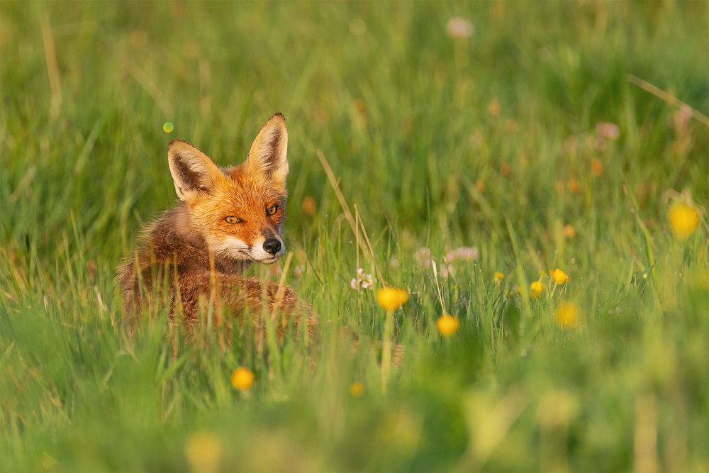 Photograph by Ekaterina Romanova